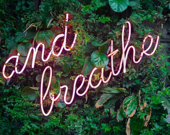 Blog Header Calm