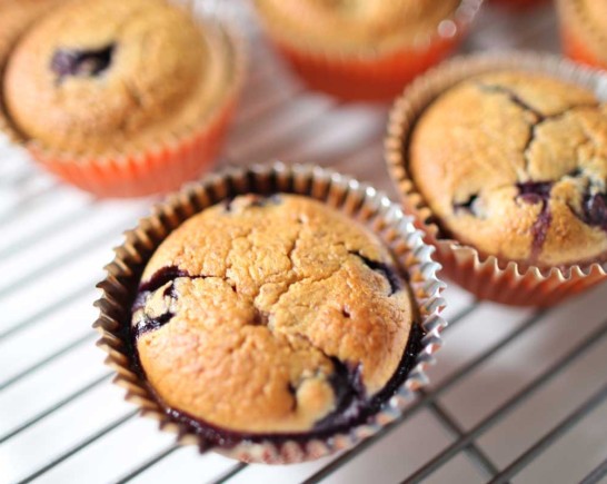Blog Header 5 Recipes